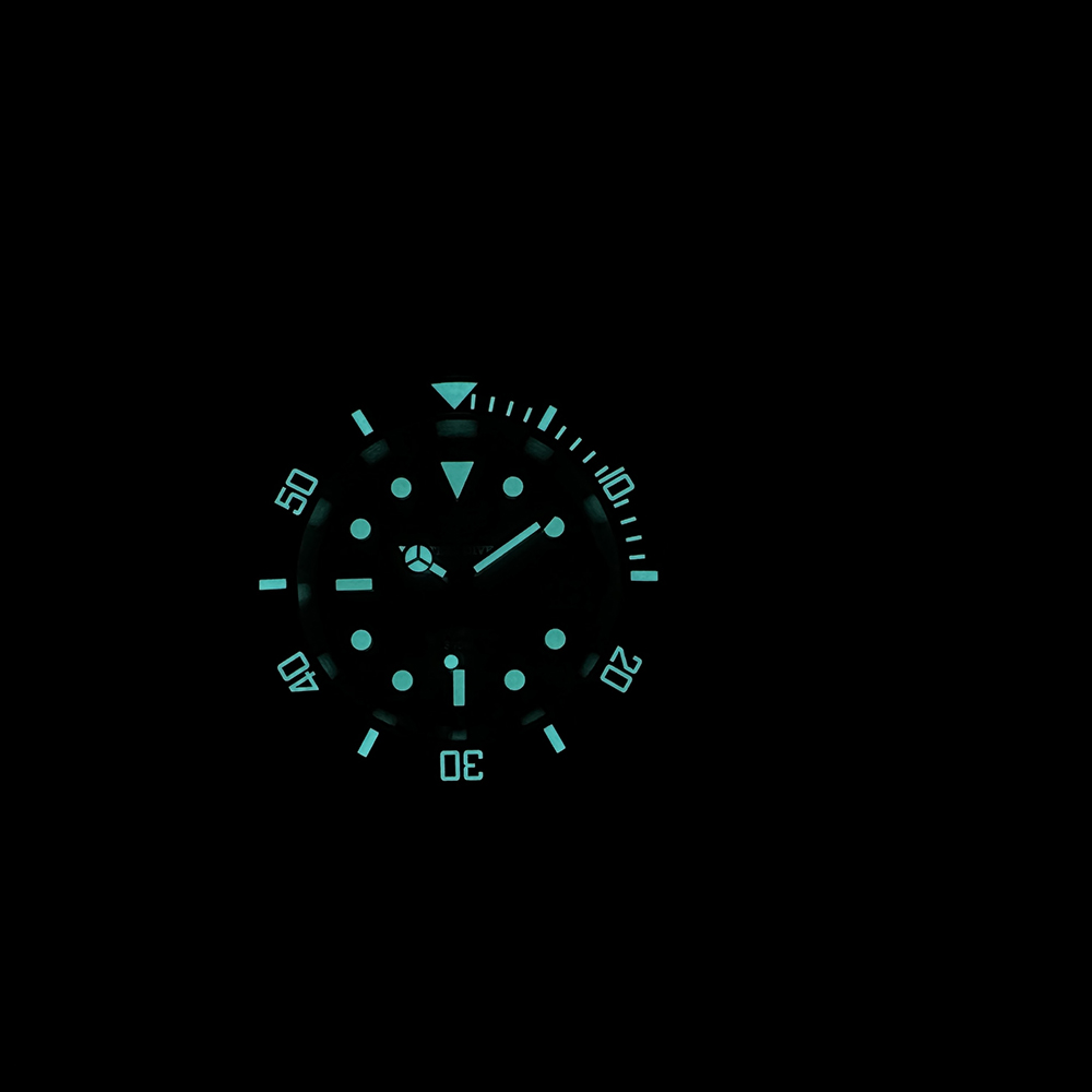 Steeldive nouvelle montre SD19 - Seiko Watch Prospex avis et prix
